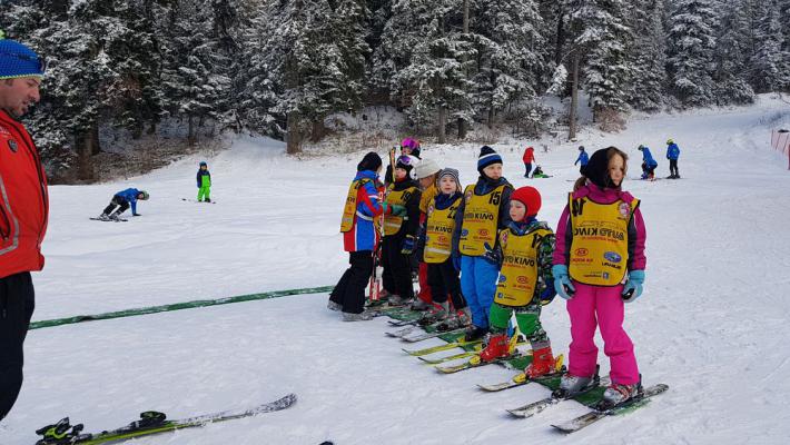 Piticii zapezii-cursuri de schi 2018